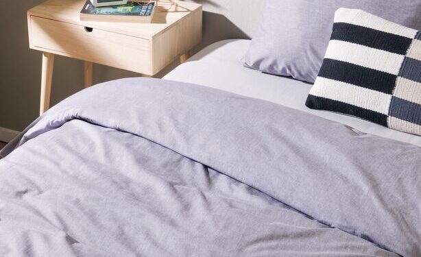 goddelijkehuisvrouw_afbeelding