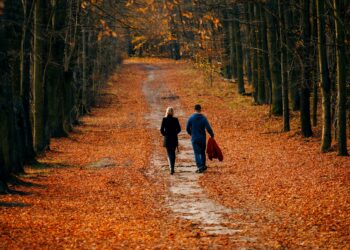 Droge voeten op elke route: zo kies je de beste waterdichte wandelschoenen voor dames