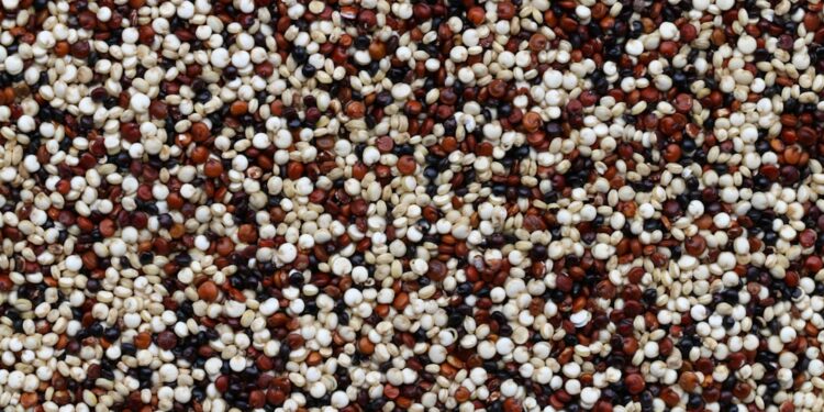The mother of all grains!!!