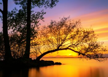 Gezellige Avonden Thuis: Kleine Momenten van Vreugde Na een Drukke Dag