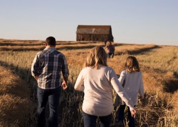 To the old barn