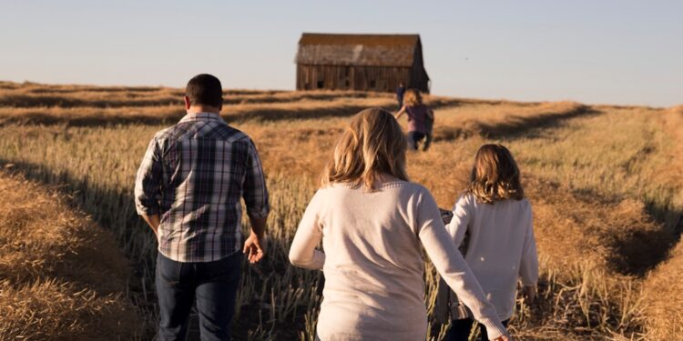 To the old barn