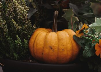 Oranje gietijzeren pan in de vorm van een pompoen op een gedekte herfsttafel