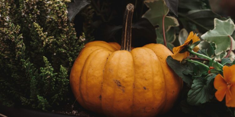 Oranje gietijzeren pan in de vorm van een pompoen op een gedekte herfsttafel