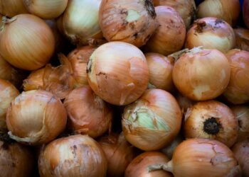 Bord hachee met draadjesvlees en uiensaus naast aardappelpuree en rode kool