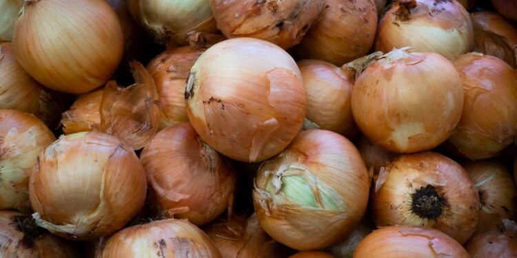 Bord hachee met draadjesvlees en uiensaus naast aardappelpuree en rode kool