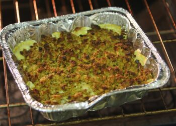 Ovenschaal met witlof, ham en goudbruin gegratineerde kaassaus